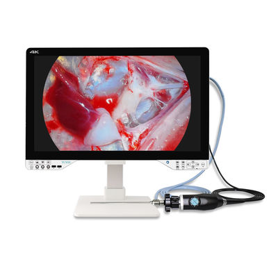 comprar AC110V-250V Câmera de Endoscopia 4K de ENT Médica com Fonte de Luz e Monitor fabricação em linha