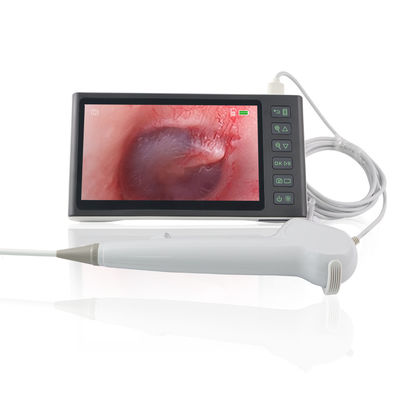 comprar ENT Cirurgia Branco FHD Flexível Digital Visual Ear Picker Remover de cera de ouvido ferramenta Endoscópio descartável Câmera 7 polegadas IPS tela fabricação em linha