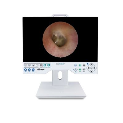 comprar Design de fábrica Sistema de câmera FHD de 15 polegadas com endoscópio flexível e rígido compatível com registro fabricação em linha