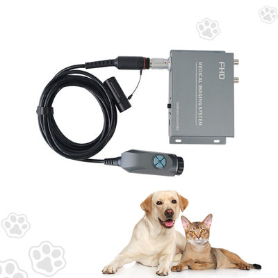 comprar Endoscópio portátil versátil de 2 saídas para diagnóstico em tempo real fabricação em linha