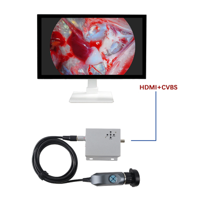 comprar Fábrica de venda por atacado 1080P Endoscopia portátil de câmera para uso veterinário ENT diagnóstico fabricação em linha