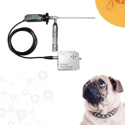 comprar TUYOU Portátil 2-Port 1080P Endoscope câmera Sistema de Imagem para ENT Pet Laparoscopia fabricação em linha