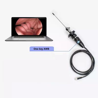 Câmera de endoscopia USB portátil elétrica Full HD CMOS para ENT Otoscopia nasal Orelha Ginecologia laparoscópica