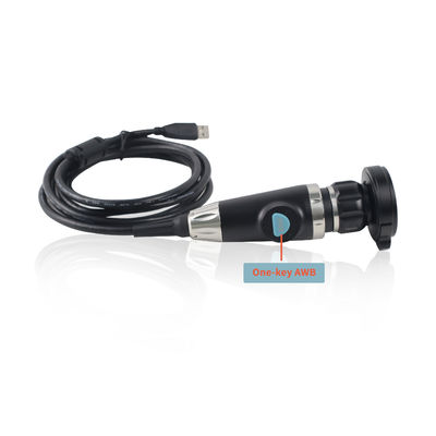 Fabricante Câmera portátil de endoscopia USB Para endoscopia ENT Animais de estimação Verificação de vídeo Endoscopia em laptop