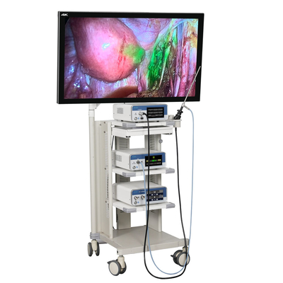 TUYOU Com Gravação de Vídeo USB Cirúrgico ICG 4K Endoscope Camera System
