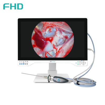 Sistema de câmera de endoscópio 4K All In One Luz LED integrada com monitor médico de 32 polegadas