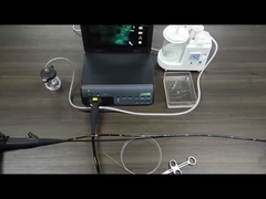 TUYOU Fábrica Gastroscópio Flexível Colonoscópio Endoscópio Sistema de Câmera Para Animais de estimação Diagnóstico Gastrointestinal